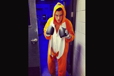 @onedirection: and the boxing kangaroo was Harry! 1DHQ x
