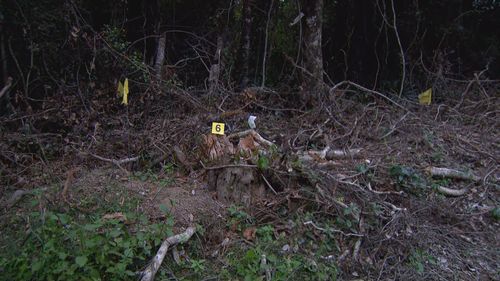 Fire and Rescue teams are preparing to fly a drone over ï»¿the Good Scrub National Park just outside of Gin Gin, an hour away from where Bishop was last seen.