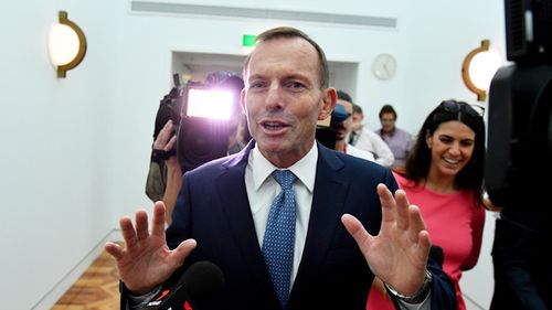 Former prime minister Tony Abbott at a press conference at Parliament House in Canberra in March, 2017. Photo: AAP