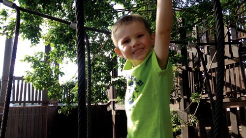 Police receive more than 300 calls over missing toddler William Tyrrell