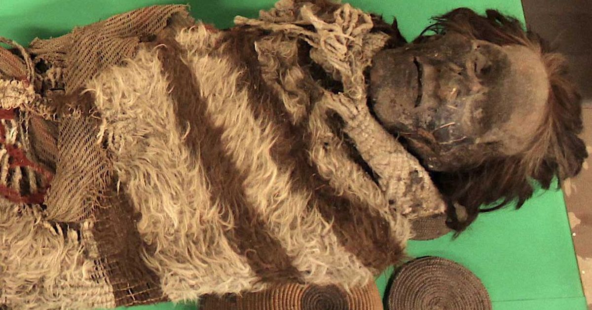 Human DNA found in lice on 2000-year-old mummy - 9News