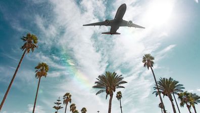 Plane flying above palm trees in blue skies