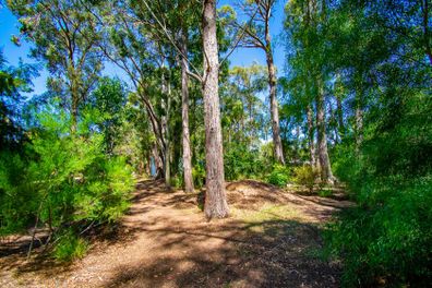 Mallacoota Vic property with underground bunker for sale $1.25 million