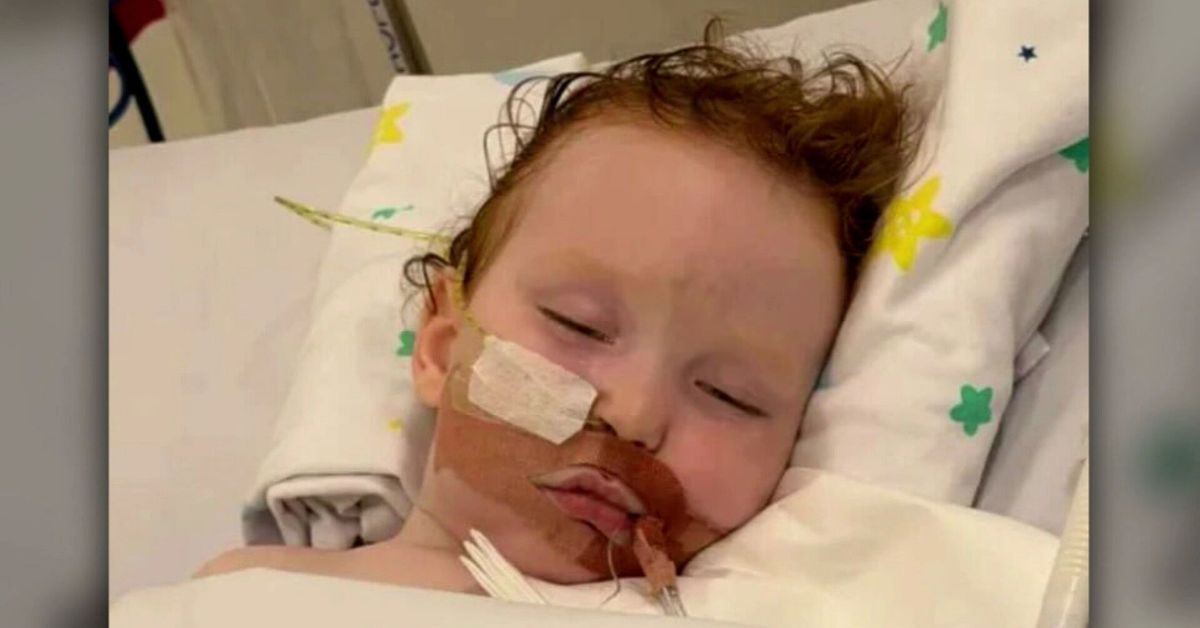 Gold Coast toddler's condition improves after inhaling cake decorating dust
