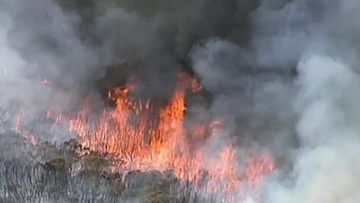 Bushfire burning near Sydney homes and school
