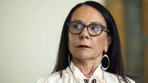 Indigenous Affairs Minister Linda Burney says the program will be "life-changing".