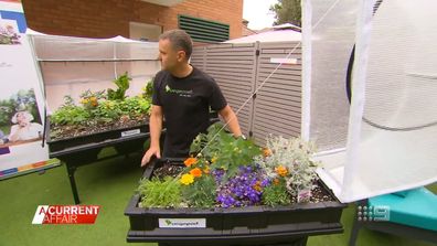 Aged care and disability residents get access to Vegepod gardens
