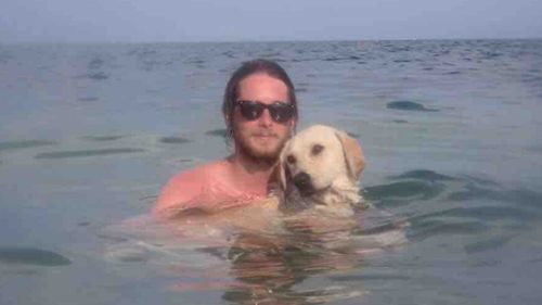 Geelong man abandons dream to bring stray Greek dog Chance to Australia