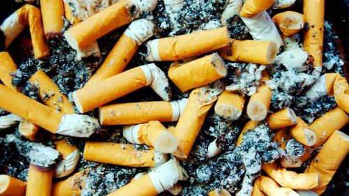 Aussie scientist discovers genius use for cigarette butts