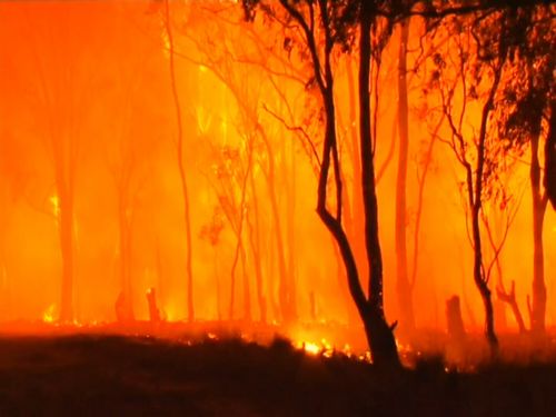 190707 NSW Queensland bushfires emergency warnings 