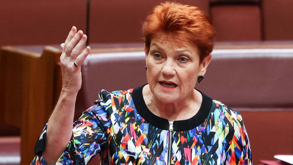 Pauline Hanson urges PM Anthony Albanese to overturn her Senate ban ahead  of early parliament resumption