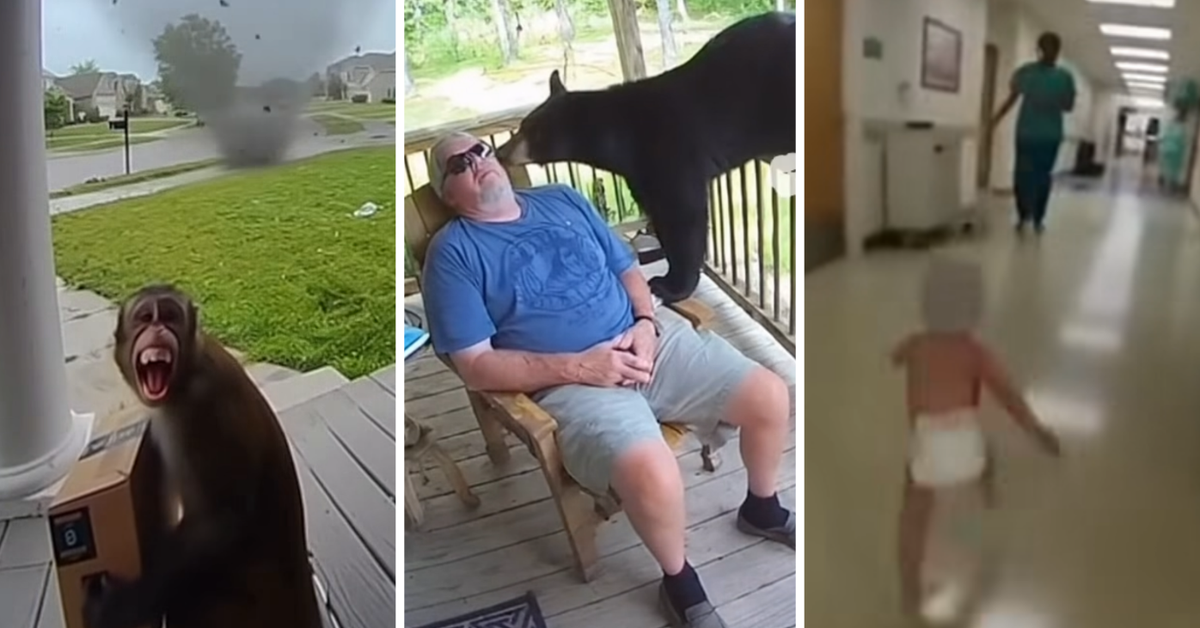 Why your social media feeds are being overrun by AI videos