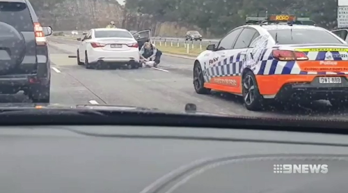 Another man was arrested at gunpoint after a pursuit in Berowra, north of Sydney.