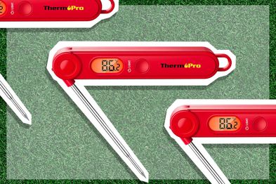 9PR: ThermoPro TP03 Digital Meat Thermometer
