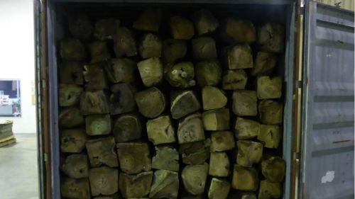 150kg of meth smuggled into Aust in logs