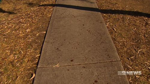 Blood spatters on the pavement in the park. (9NEWS)