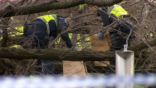 Victoria Police officers collecting evidence. (