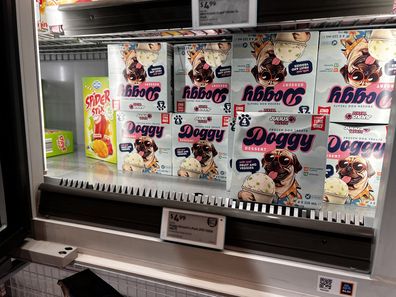 aldi dog ice cream mistake 