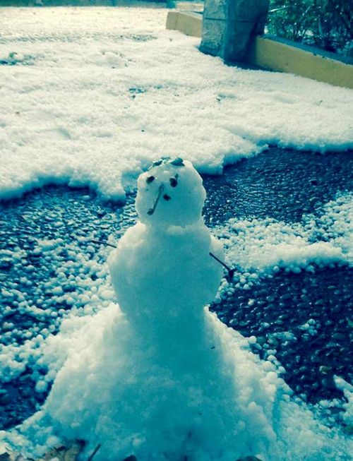 Leila BozorgKian shared this photo of a snowman built in Rosebery.