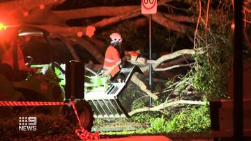 A ferocious night of storms left tens of thousands of Brisbane residents in the dark.