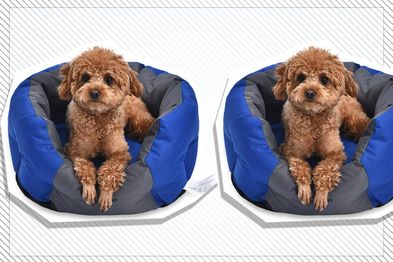 9PR: Water-Resistant Pet Bed for Small Dogs, 48cm