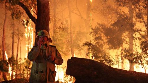 More than 80,000 hectares of forest have been burned at Northcliffe. (DFES)