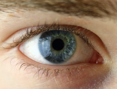 Close up of blue human eye 