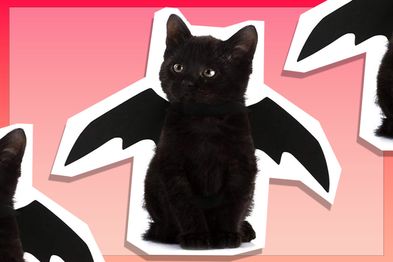 9PR: VANVENE Cat Bat Wings Costume