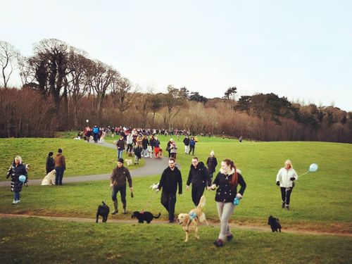 Dogs of all shapes and sizes turned up to farewell Marley.