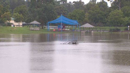 144 millimetres of rain fell in the Gold Coast Hinterland overnight while 50 millimetres fell in Surfers Paradise in just half-an-hour (Supplied).