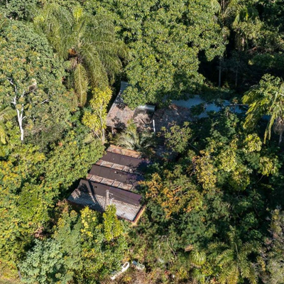 Sprawling home surrounded by lush forest on offer, but there's a catch