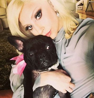 Lady Gaga and her dog Miss Asia