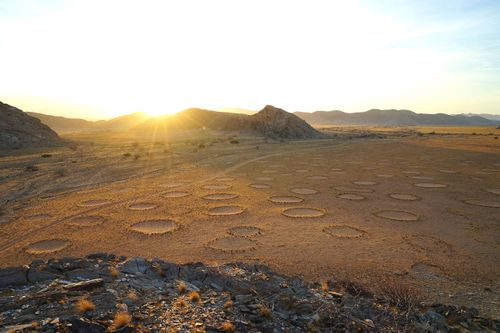 Satellites Show Mysterious Fairy Circles in More Parts of the World - The  New York Times