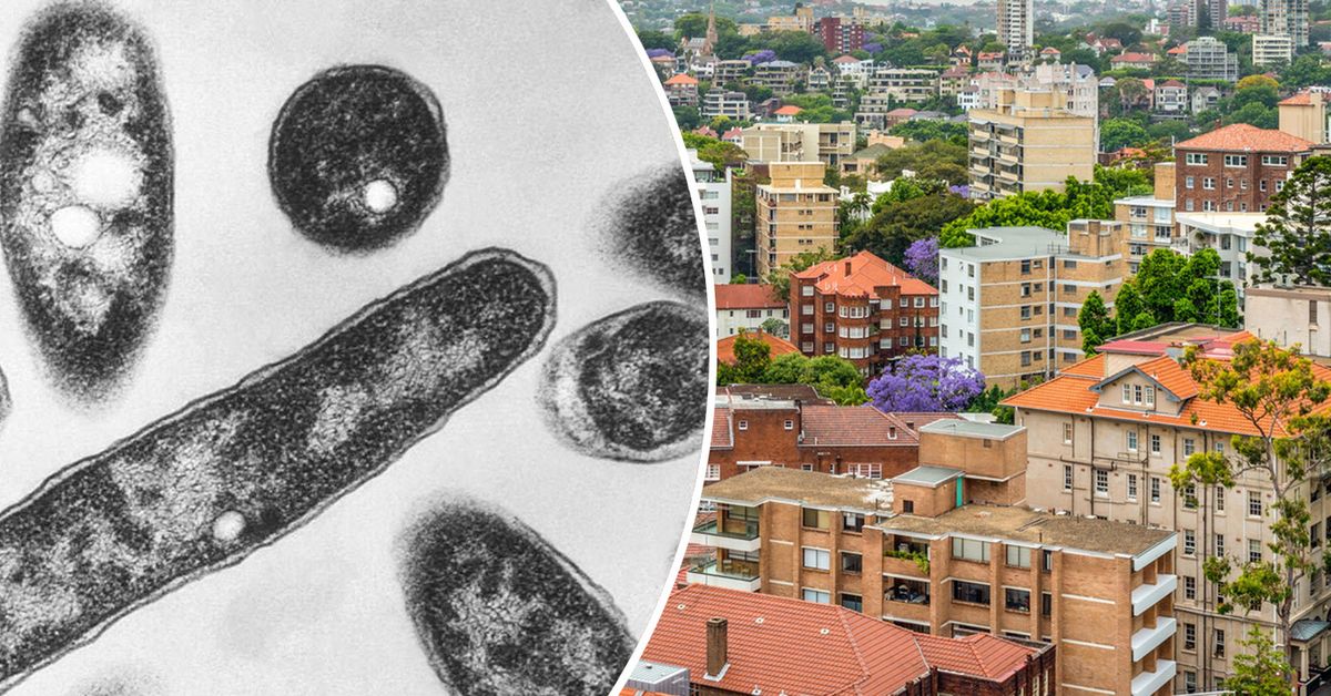 Health warnings after deadly disease outbreak in Sydney suburb