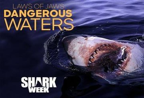 Laws Of Jaws: Dangerous Waters