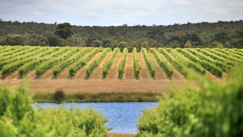 Margaret River wine region