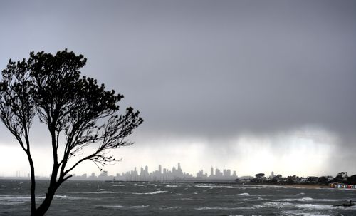 A cold air mass combined with a lack of rain and clear skies caused the chilly temperatures, which come unseasonally low for this late in the year.