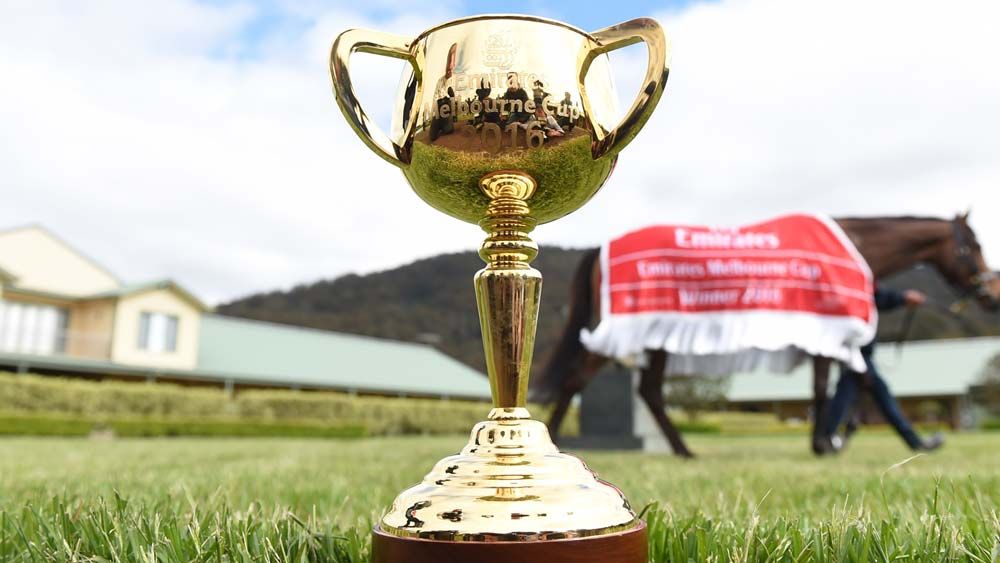 Melbourne Cup 2017: Preview, tips and expert predictions - runner-by-runner