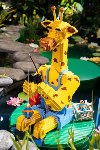 Yellow Fishing Giraffe | Lily Pads Challenge