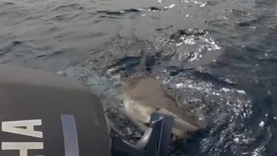 Coral Bay Perth blokes fishing trip shark takes bite at boat motor