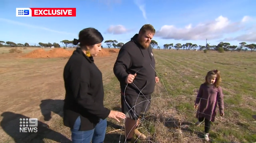 A South Australian family has been dealt a cruel blow, with thieves stealing a $15,000 shed they planned to live and work in.