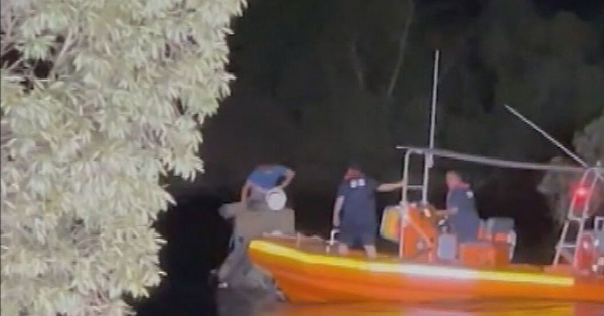 Man rescued from crocodile-infested waters in WA – 9News