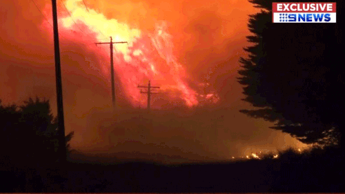 The Terang-Cobden Road fire was about 12,000 hectares in size yesterday. (9NEWS)