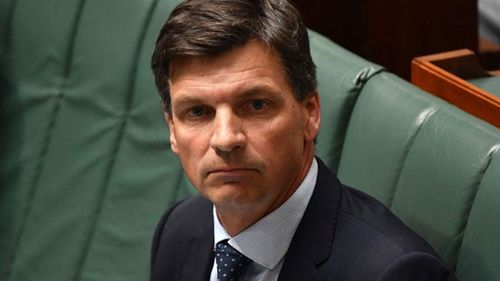 Angus Taylor is facing calls for a parliamentary inquiry.