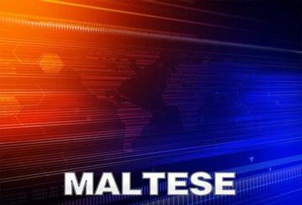 Maltese