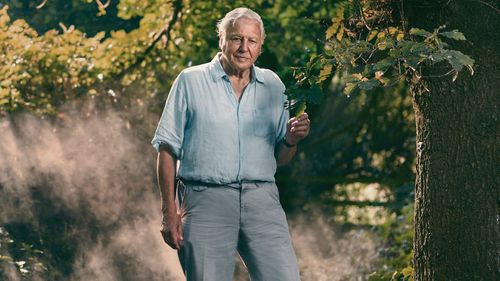David Attenborough's film Extinction: The Facts is a stark warning about the destruction of our planet.