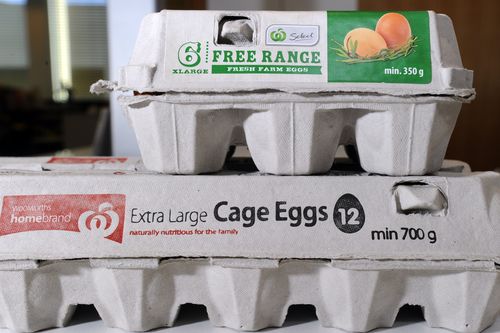 Cage free eggs are now leading the market share in the supermarket after a significant shift in consumer behaviour over the past five years.