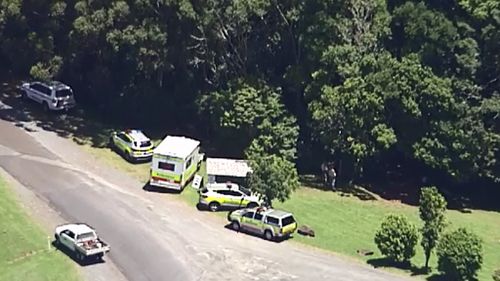 Bushwalker killed by falling tree in Binna Burra, Gold Coast hinterland