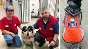 Owen Lima and service dog blue in their new role. (Facebook/Lowe's Canada)