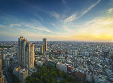 Aerial view of Tokyo, Japan. Photo taken with 42 megapixel professional camera.